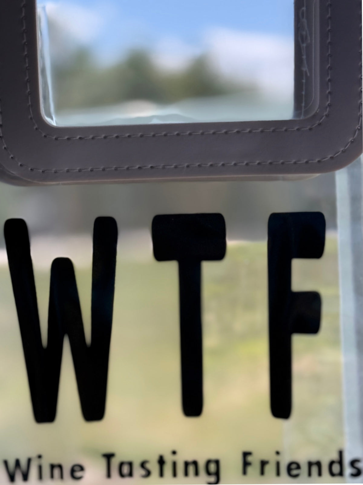 WTF Wine Tasting Friends Bag | Funny Wine Tote Gift | Reusable Beverage Bag for Girls Trips, Parties & Travel7